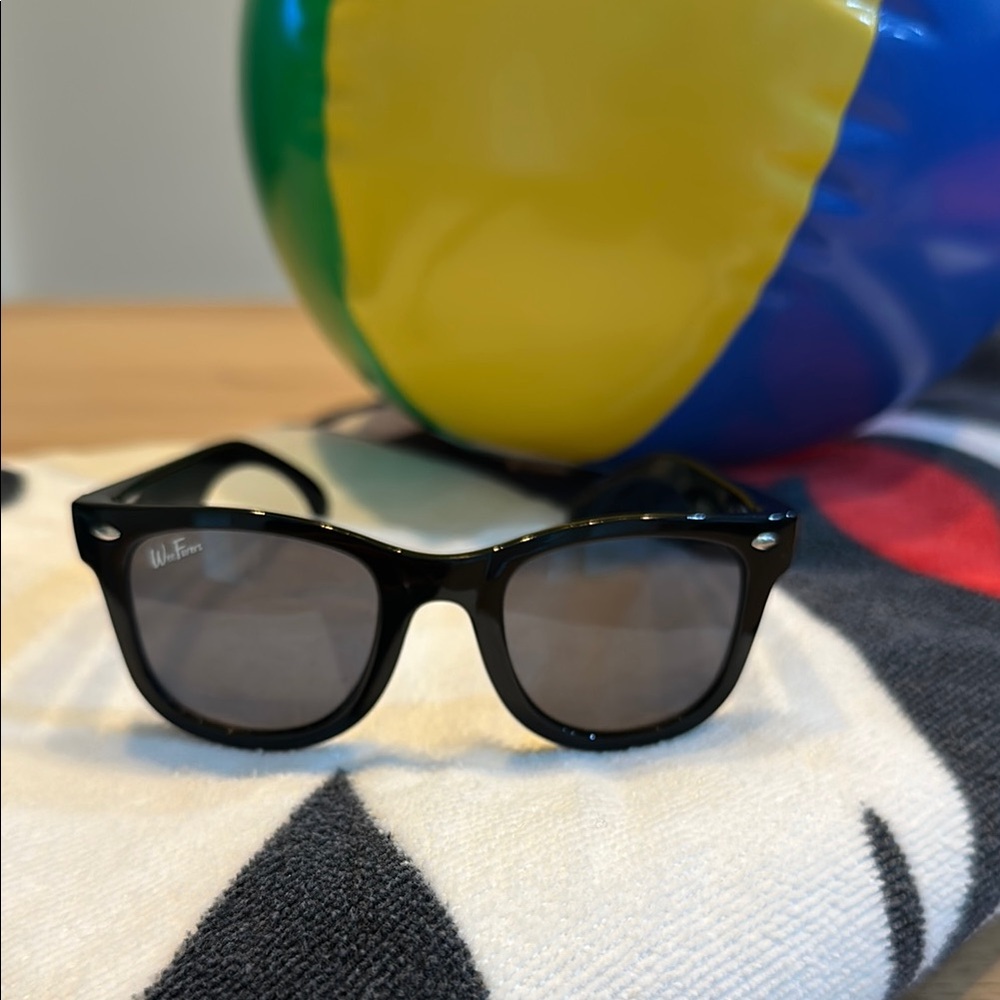 Wayfarer Black Sunglasses